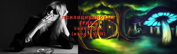 прущие крисы Баксан