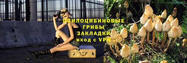 прущие крисы Баксан