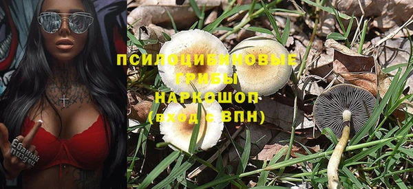 прущие крисы Баксан